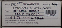 Image Associated With the Occurence
